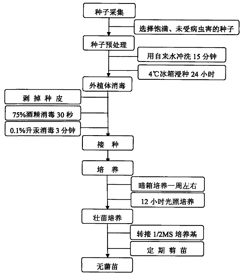 亚洲十大信誉网赌网址